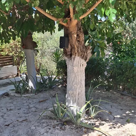 The Hidden Keri * Μαραθιάς